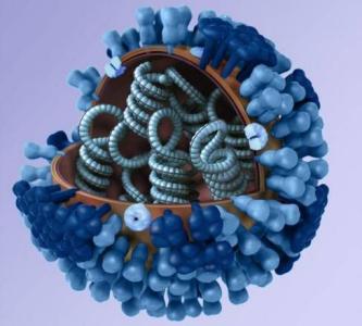 我科学家建立H7N9病毒扩散分析模型